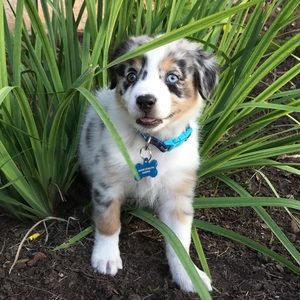 Meet your Posher, Nathan